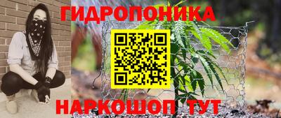 дмт Гусь-Хрустальный