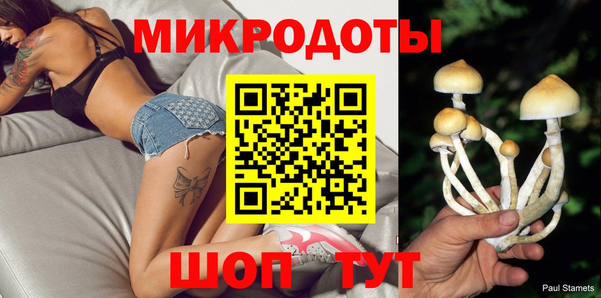 Галлюциногенные грибы Psilocybe Лосино-Петровский
